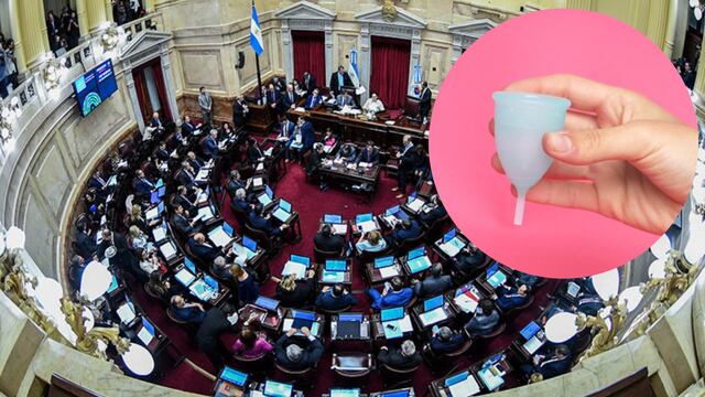 Aprobaron la ley de gestión menstrual sostenible en San Luis.