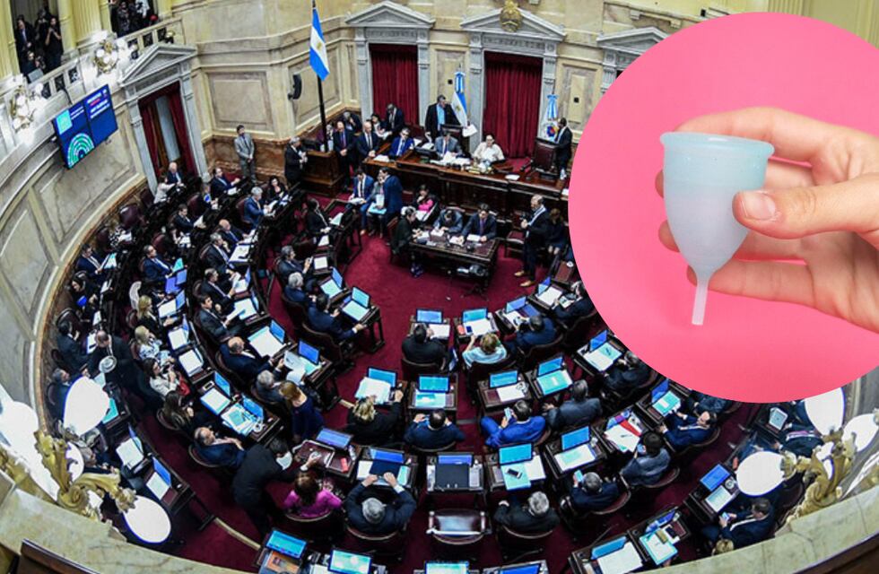 Aprobaron la Ley de Gestión Menstrual Sostenible en San Luis