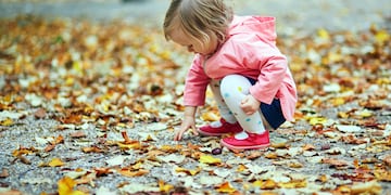 Con la llegada del otoño se abre la temporada de paseos por calles pintadas de mil colores. Es un tiempo para disfrutar de la naturaleza y aprender mucho sobre ella.