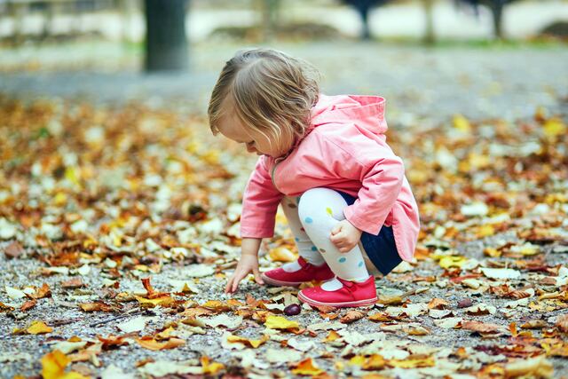 Con la llegada del otoño se abre la temporada de paseos por calles pintadas de mil colores. Es un tiempo para disfrutar de la naturaleza y aprender mucho sobre ella.