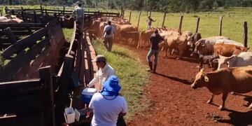 El 15 de marzo iniciará  la campaña que será coordinada por el médico veterinario Javier Amann.