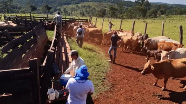 El 15 de marzo iniciará  la campaña que será coordinada por el médico veterinario Javier Amann.
