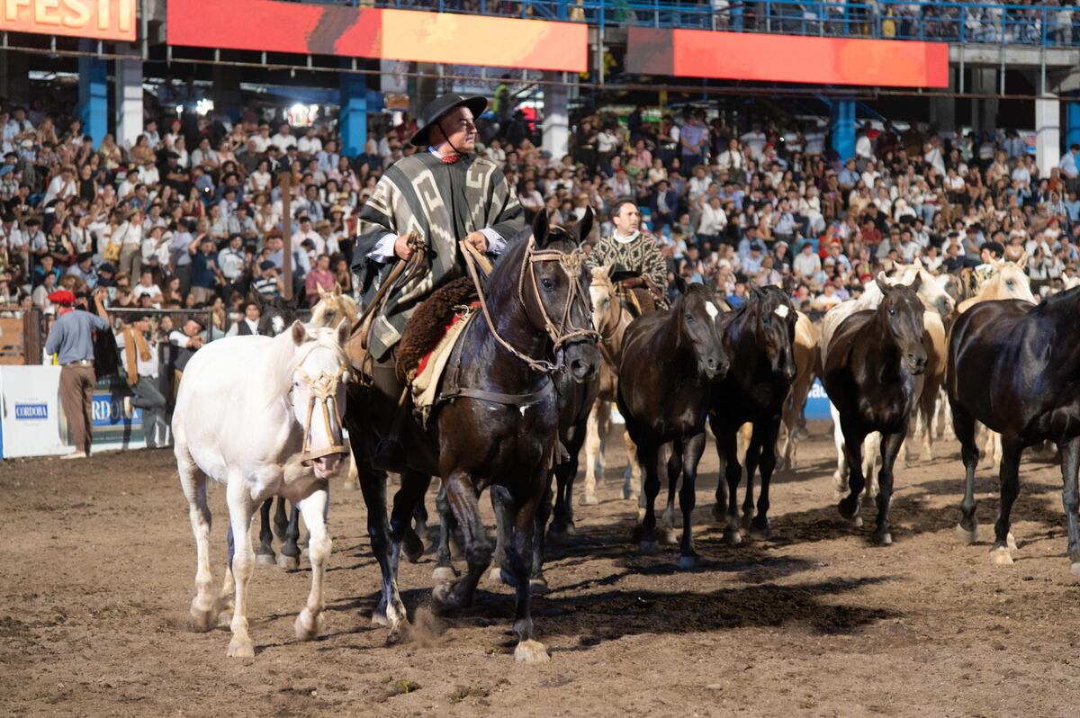 El clima para las próximas noches del Festival de Jesús María 2026. (La Voz).