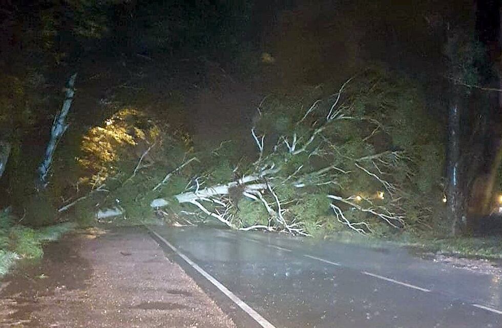 La tormenta causó destrozos en el Sur de Córdoba