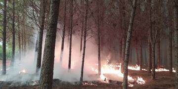 Lamentablemente, uno de los focos ígneos arribó a la Reserva Salto Encantado.
