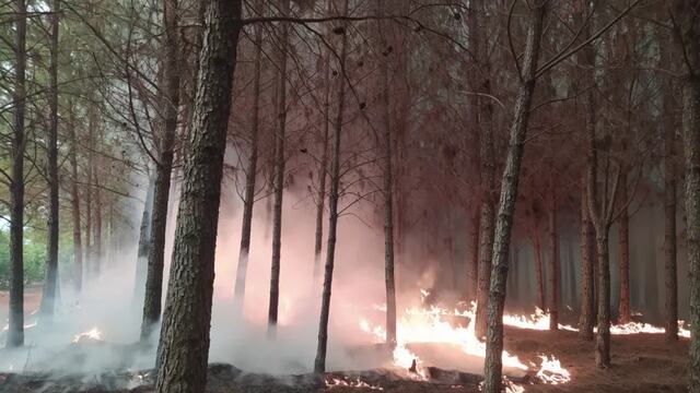 Lamentablemente, uno de los focos ígneos arribó a la Reserva Salto Encantado.