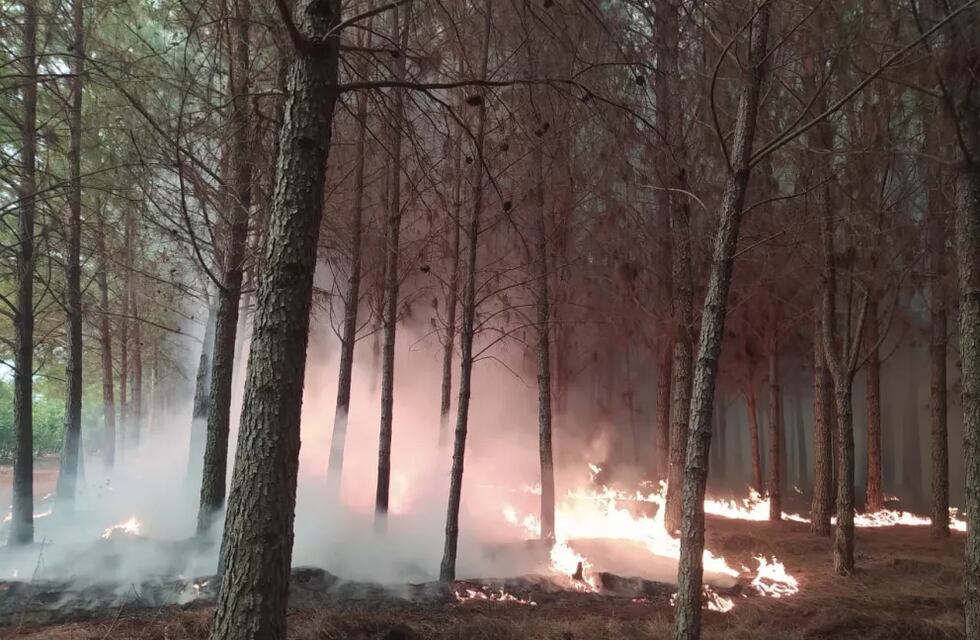 Lamentablemente, uno de los focos ígneos arribó a la Reserva Salto Encantado