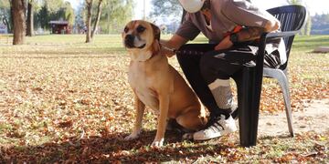 Jornada de "adopción responsable" en Carlos Paz y en el Día del Animal. (Foto: Municipalidad VCP).