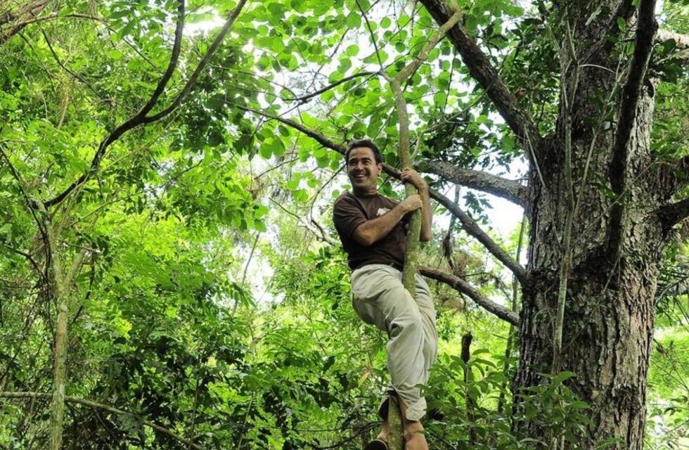 Banco de Bosques logró salvar los lotes de selva Curvas del Urugua-i gracias a pequeñas donaciones