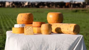 Cómo es el Camino del Queso que se realiza en Córdoba.