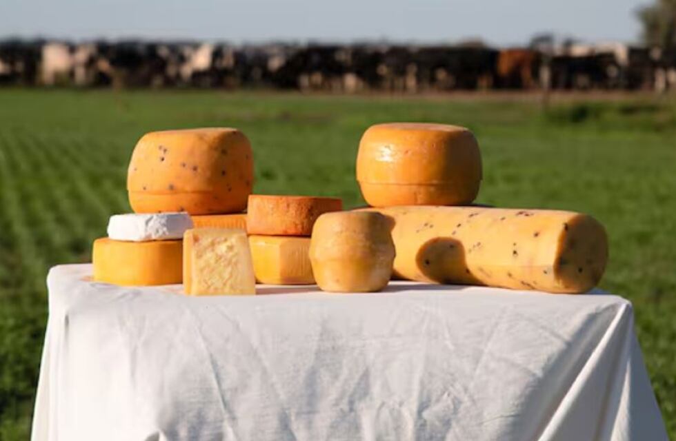 Cómo es el Camino del Queso, un recorrido que celebra la riqueza láctea de Córdoba