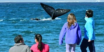 En junio comenzará la Semana de las ballenas en Chubut.
