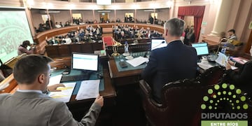 El proyecto de creación de OSER fue girado a comisiones.