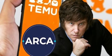 Cuántas veces puedo comprar en TEMU al año en Argentina sin meterme en problemas con ARCA