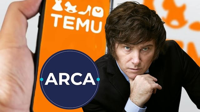 Cuántas veces puedo comprar en TEMU al año en Argentina sin meterme en problemas con ARCA