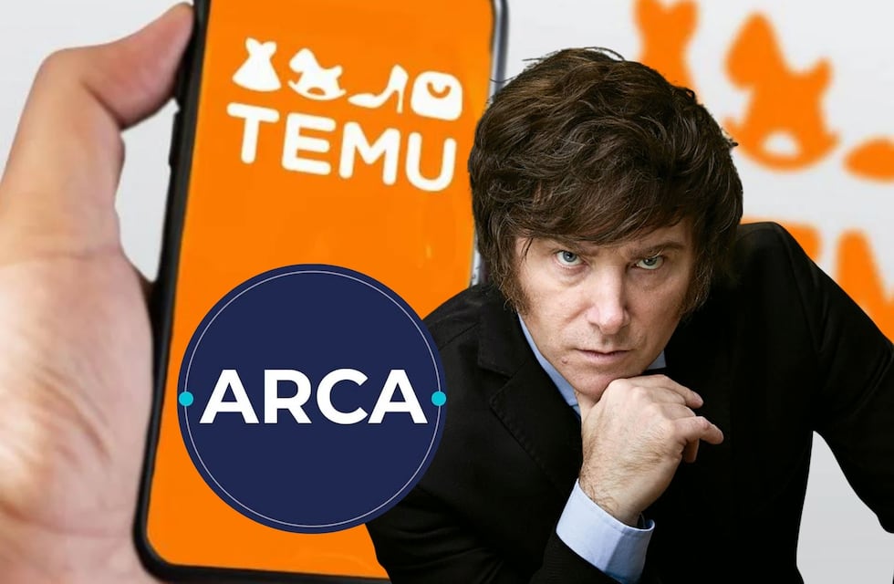 Cuántas veces puedo comprar en TEMU al año en Argentina sin meterme en problemas con ARCA
