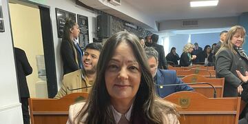El crítico comentario de la diputada provincial peronista Natalia Ponferrada.