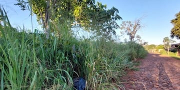 Puerto Iguazú: preocupación por baldíos en abandono.