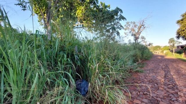 Puerto Iguazú: preocupación por baldíos en abandono.