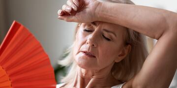 Es importante evitar exponerse a temperaturas ambientalmente altas / Sanatorio Allende