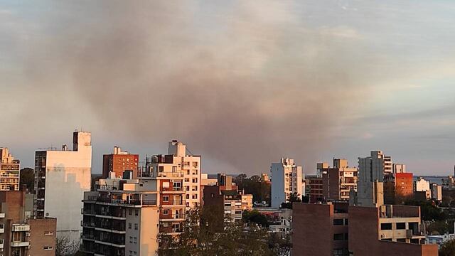 El fuego tiñó de gris una parte del cielo a última hora de la tarde.