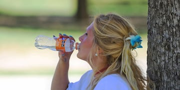 Intenso calor en Córdoba, pero anticipan la llegada de la lluvia. (José Gabriel Hernández / La Voz)