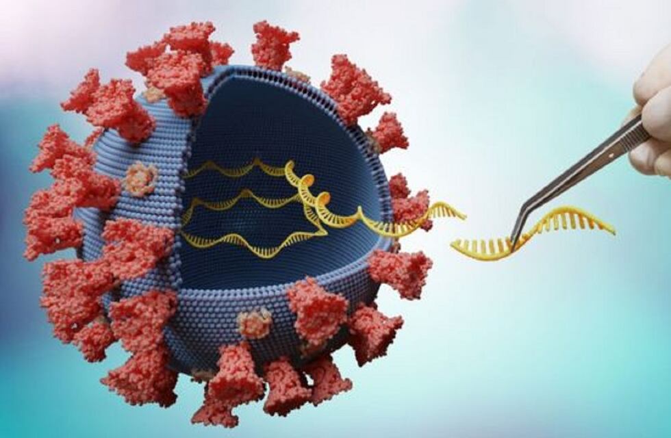 Primer caso de la variante Delta en Bahía Blanca