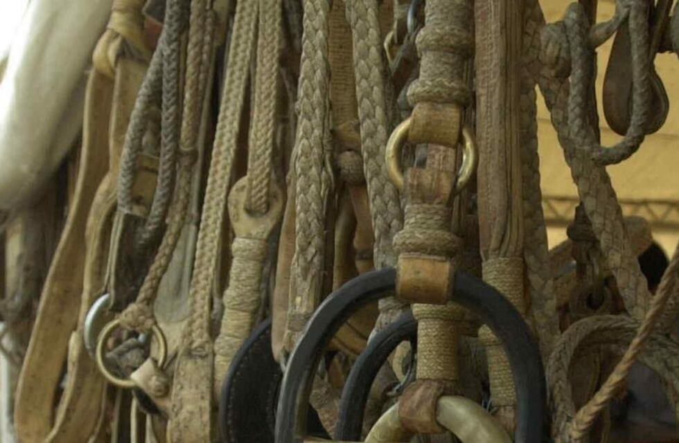 Arroyito: por un hecho de violencia familiar secuestran un rebenque de cuero