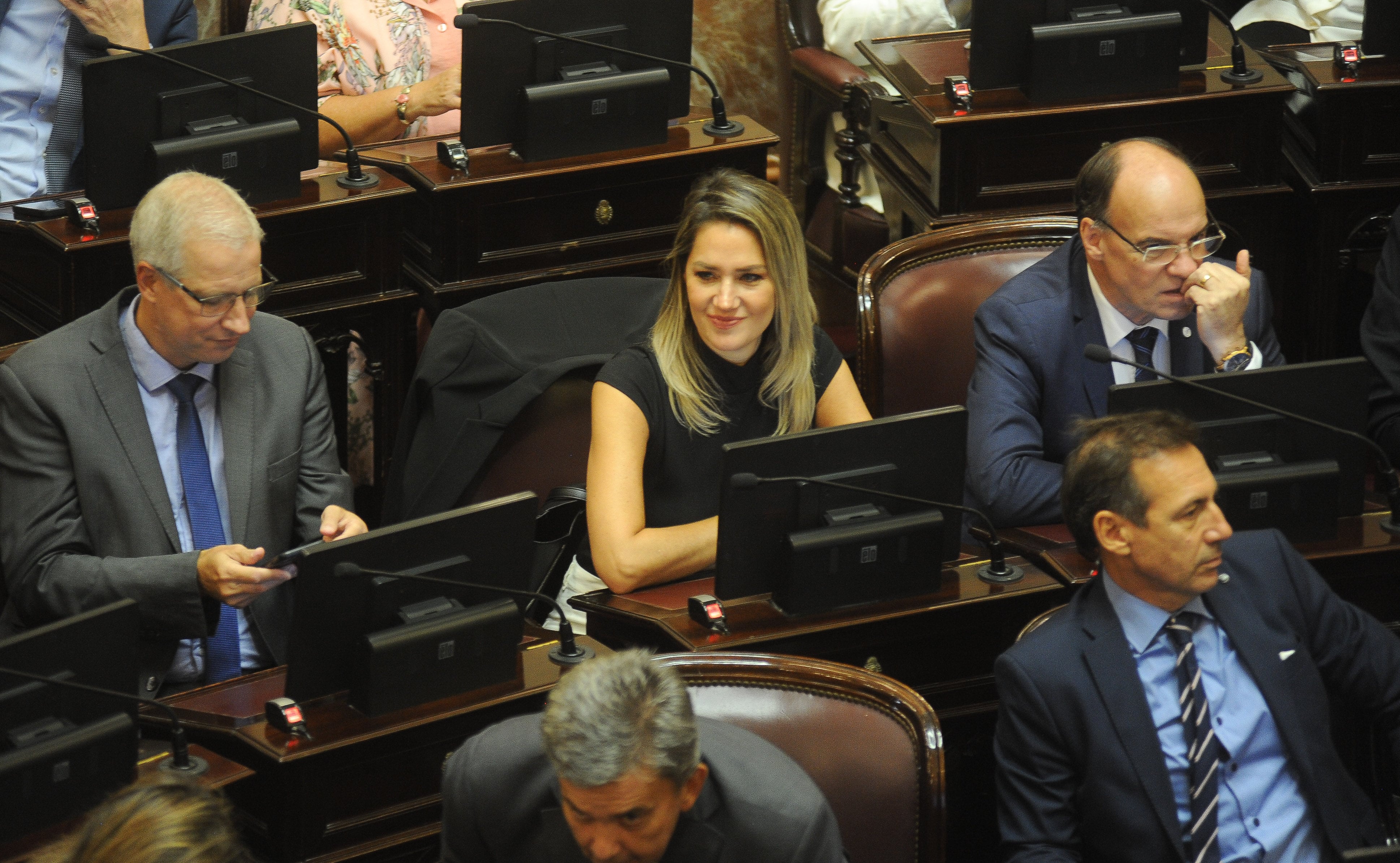 Senado de la nación
Carolina Losada
Foto Federico Lopez Claro