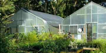 La columna literaria de Magdalena Giorgio