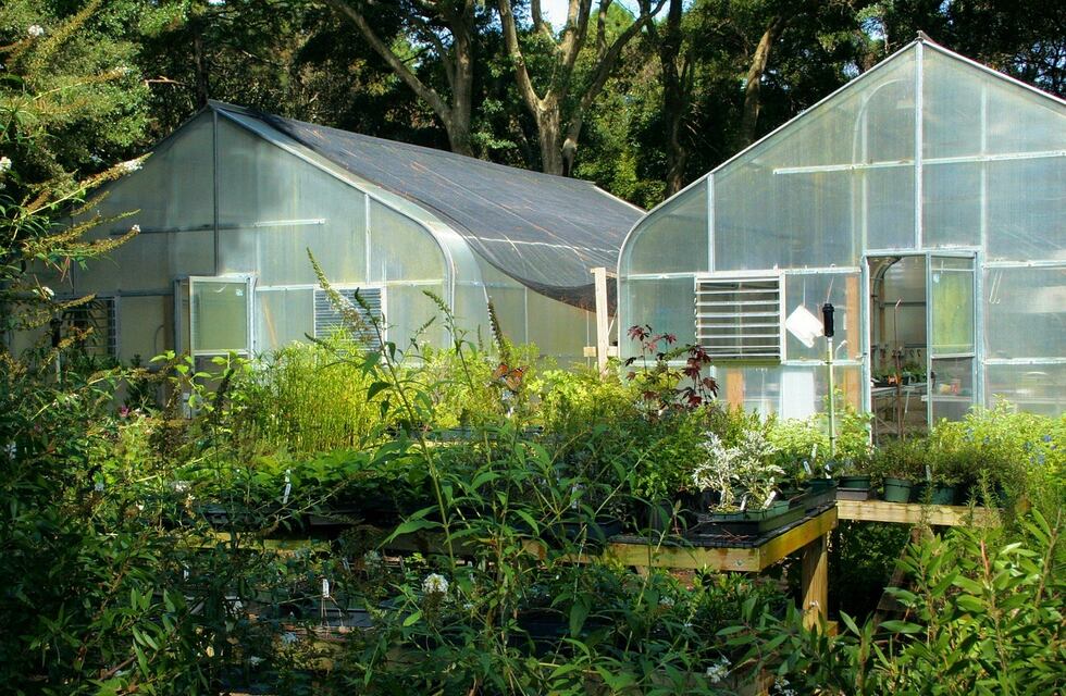 La columna literaria de Magdalena Giorgio