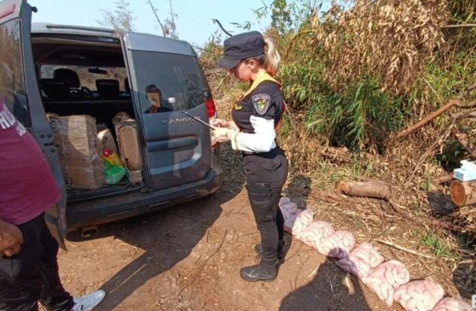 Secuestraron mercadería con pérdida de cadena de frío en Montecarlo