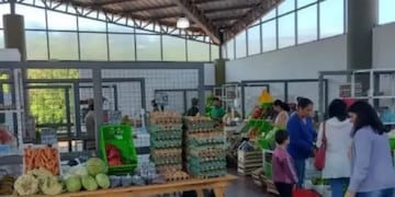 Buscan impulsar el desarrollo agrícola en Eldorado a través del Programa Procanor.