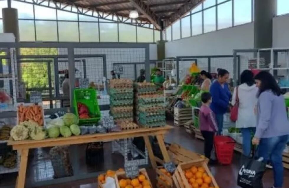 Buscan impulsar el desarrollo agrícola en Eldorado a través del Programa Procanor