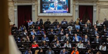 La moción de Unión por la Patria por el Fonid no consiguió la mayoría de votos necesaria (Foto: Federico López Claro)