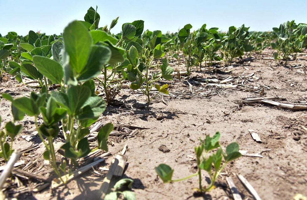 ¿Cómo acceder a los beneficios de la Emergencia Agropecuaria 2022?