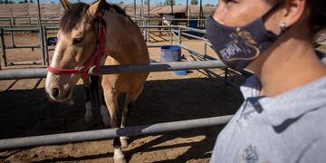 Desde la asociación piden que los caballos no sean devueltos a las personas que tanto daño les hicieron.
Foto: Ignacio Blanco / Los Andes