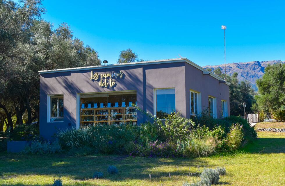 Escapadas desde Córdoba: cómo es la reconocida casa de té que ofrece delicias al pie de la montaña en San Luis