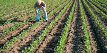 Nuevas tecnologías aplicada a la agricultura mediante Bioinsumos