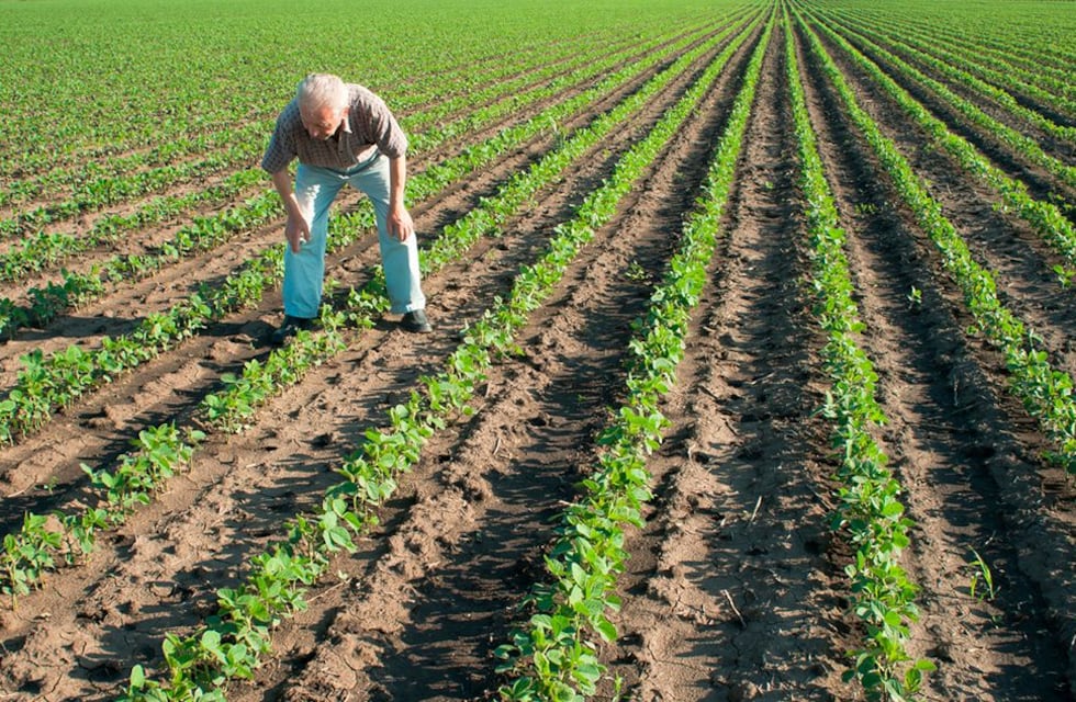 Estado de las empresas Agrícola-Ganaderas