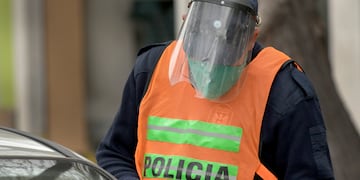 Detectaron la licencia trucha en un control de rutina.