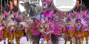 Una organización previene acciones de "Maltrato animal"