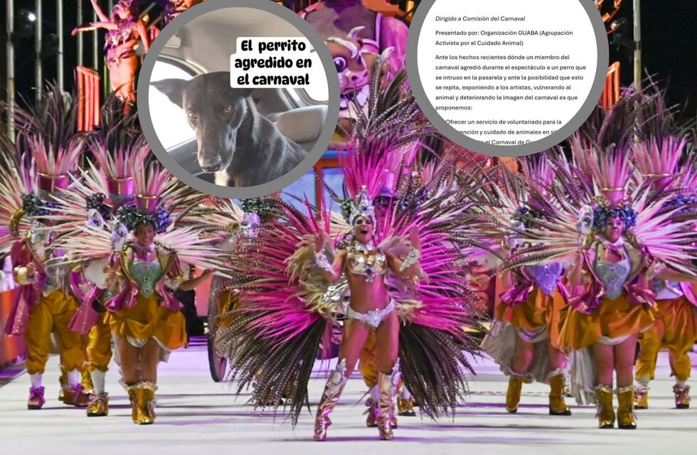 El Carnaval del País anunció que trabajará en conjunto con una organización para prevenir acciones de “Maltrato animal”