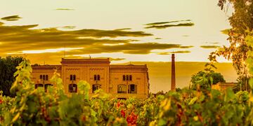 Estos galardones dejan en lo más alto a la vitivinicultura local.