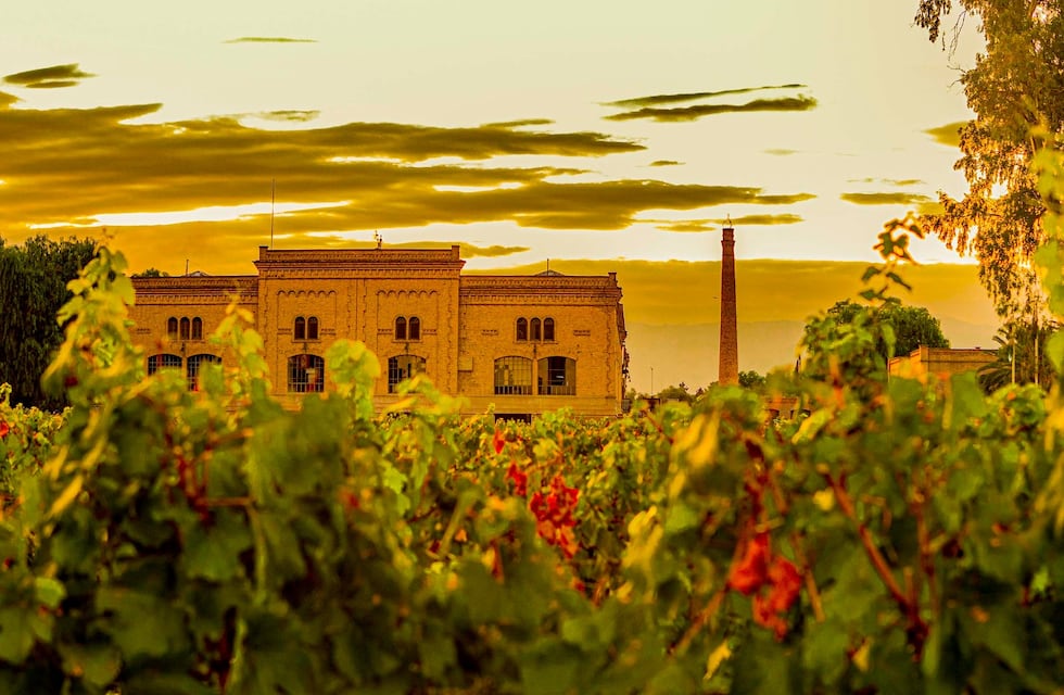 Maipú se destaca en el mundo por sus bodegas
