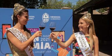 Lanzamiento de la campaña campaña “Convertí tu casa en un Punto Vendimia”