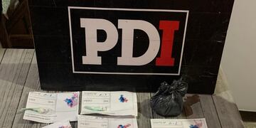 Los estupefacientes secuestrados por la PDI