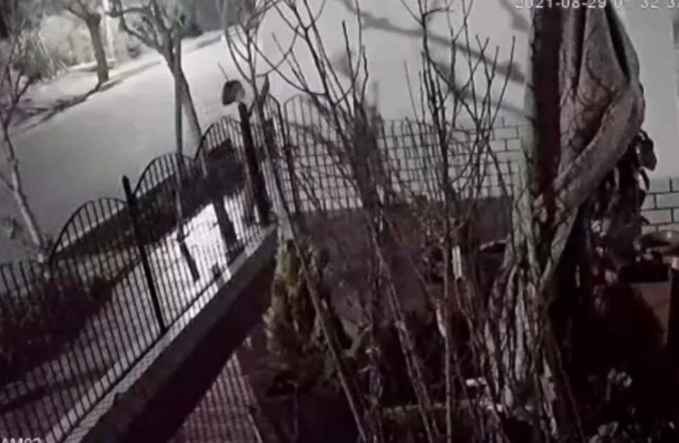 Video: adolescentes le cortaron la luz como “broma” y perdió todas sus insulinas