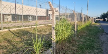 Un guardiacárcel de La Plata le ofrecía sexo a los reclusos a cambio de informes de buena conducta. (Imagen ilustrativa).