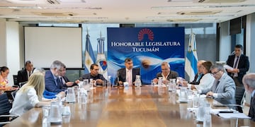 El temario único incluye el Decreto Nº 11/3 (MEyP), presentado el 29 de diciembre de 2025, y el Decreto Nº 1/3 (MEyP), enviado el 8 de enero de 2026.